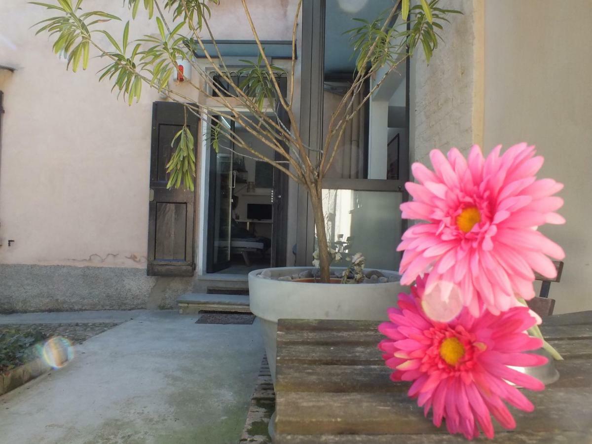Ferienwohnung Loft Garden In Bologna'S Heart Ospedale Rizzoli Exterior foto
